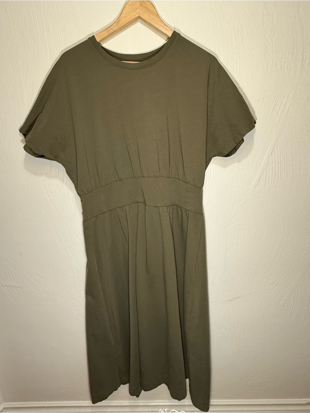 Everlane Olive Midi Dress with Defined Waistband